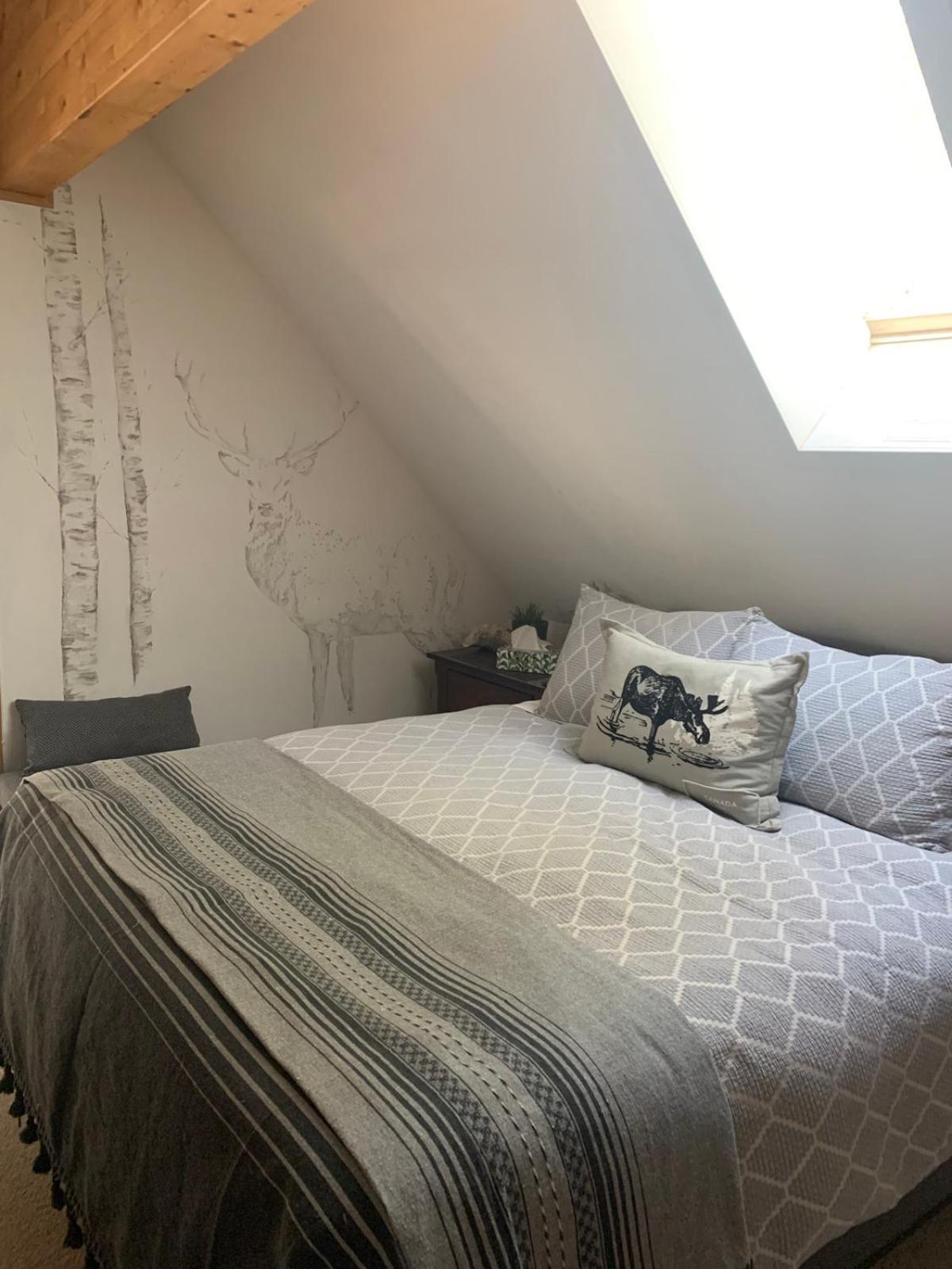 Ambleside Lodge Bed & Breakfast 坎莫尔 外观 照片